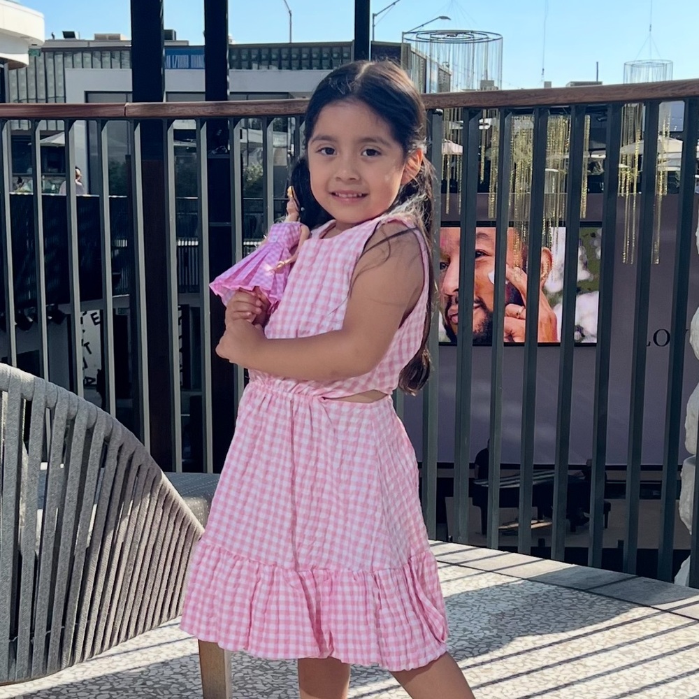 Zara Pink Checkered Kids Dress
